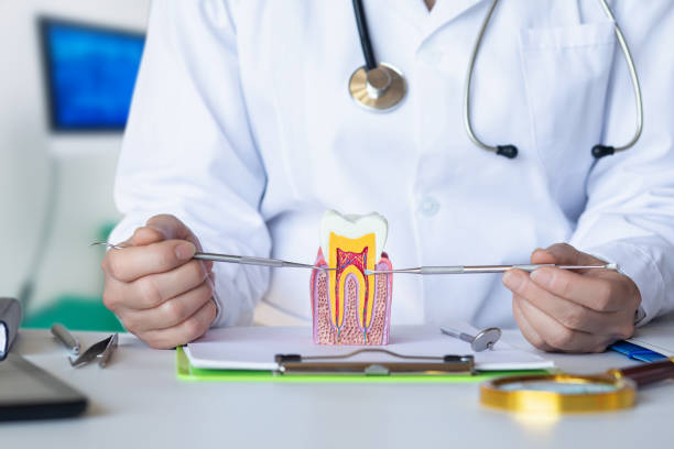 Best Urgent Care for Lost Fillings or Crowns in Colwich, KS